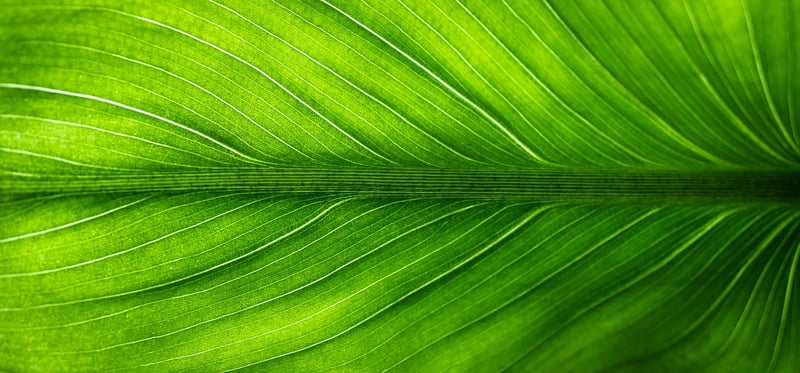 Eco-Friendly Crafting Techniques