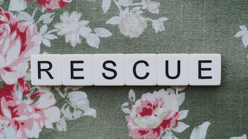 Rescued Furniture Makeover