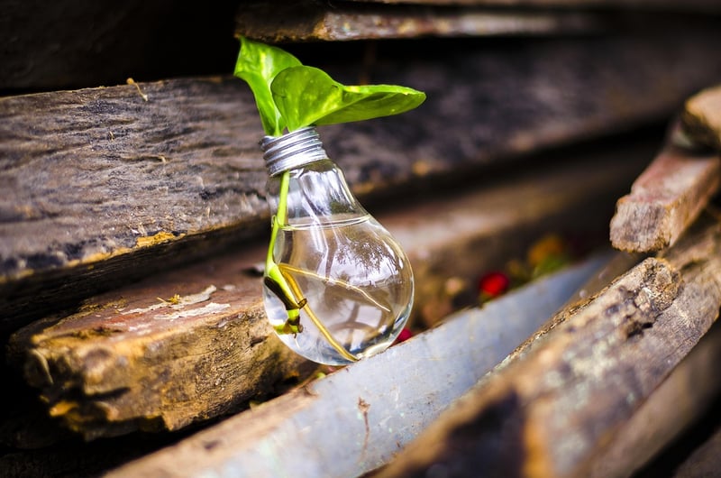 Sustainable Upcycling Practices